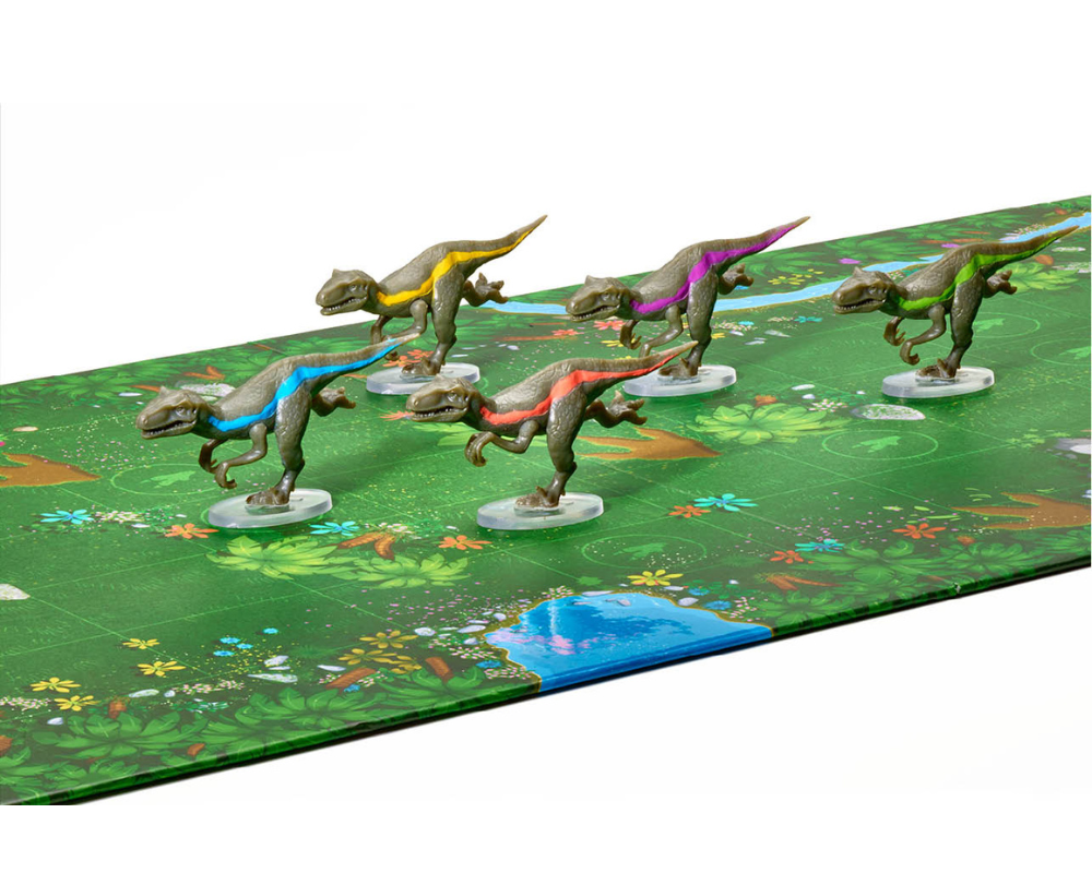 Raptor race